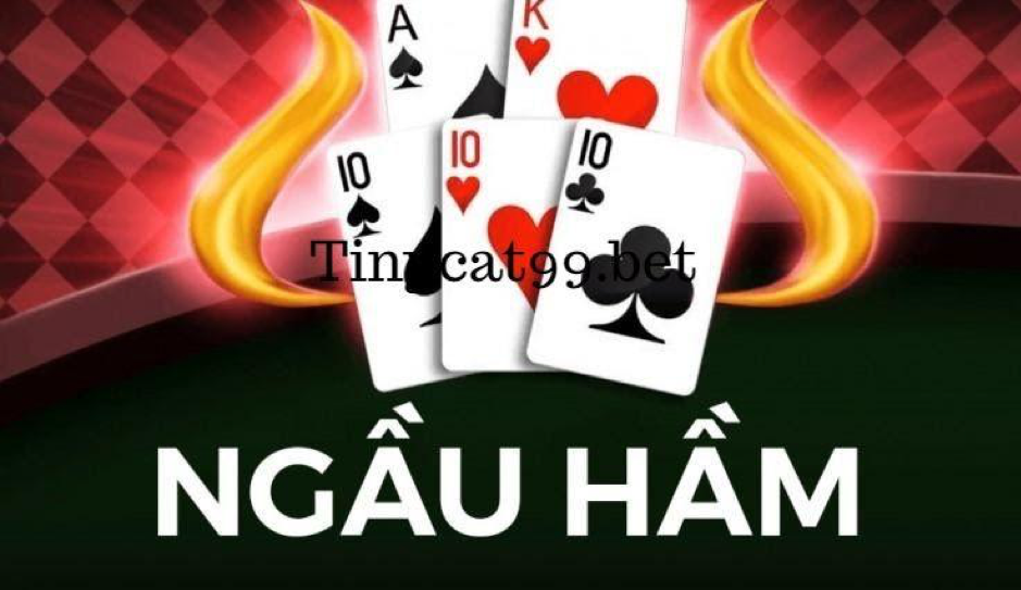 bi kip choi ngau ham tinycat99, cach choi ngau ham, cach choi ngau ham tinycat99, cách chơi ngầu hầm tinycat99, bí kíp chơi ngầu hầm tinycat99