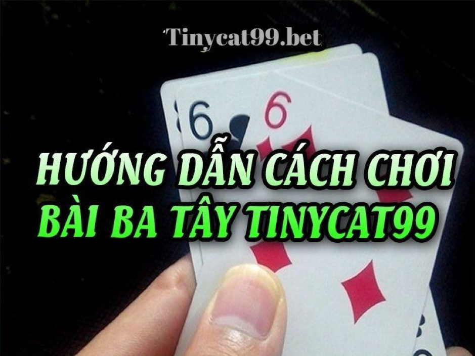 chơi bài ba tây tinycat99, bài ba tây, choi bai ba tay, bài ba tây tinycat99, bai ba tay tinycat99, cách chơi bài ba tây