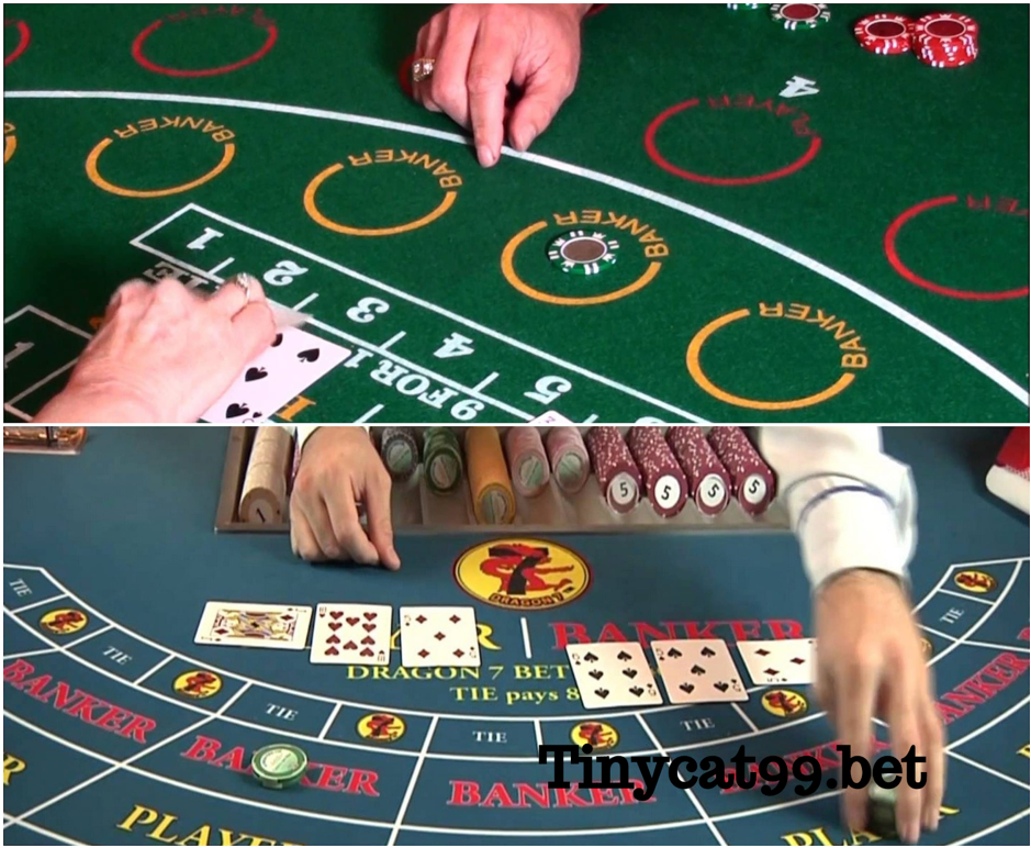 Chơi bài Baccarat Tinycat99, choi bai baccarat tinycat99, cách chơi baccarat tinycat99, cach choi baccarat tinycat99, baccarat tinycat99