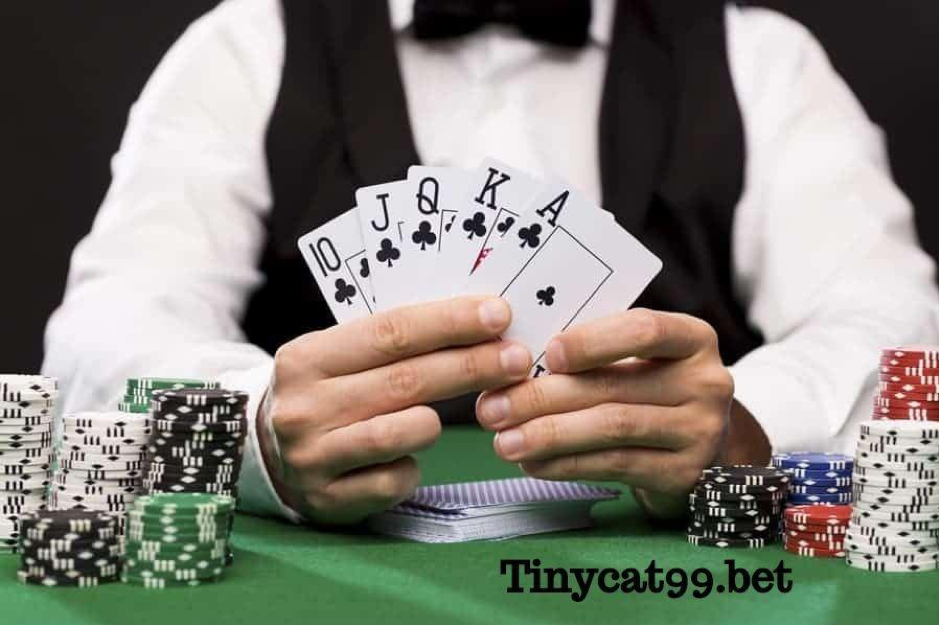 Chơi bài Baccarat Tinycat99, choi bai baccarat tinycat99, cách chơi baccarat tinycat99, cach choi baccarat tinycat99, baccarat tinycat99