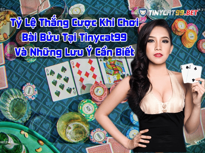 Chơi bài bửu trên tinycat99, choi bai buu tinycat99, bài bửu tinycat99, bai buu tinycat99, cách chơi bài bửu tinycat99, cach choi bai buu tinycat99