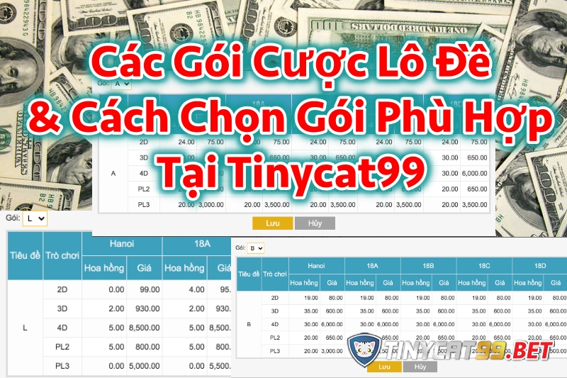 Tổng hợp và phân tích các gói cược lô đề tại Win2888