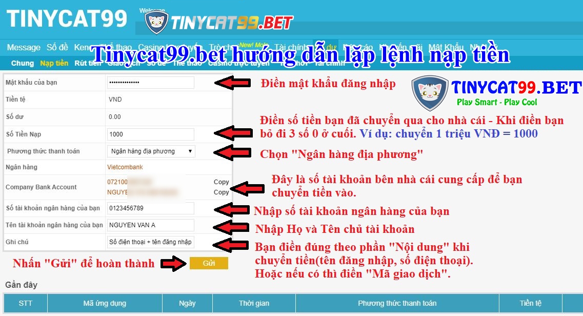 Cách Nạp Tiền Vào TinyCat99 Nhanh Chóng - Chính Xác Nhất