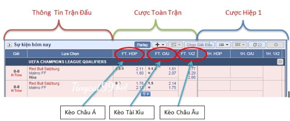 soi kèo trên Tinycat99, kinh nghiệm soi kèo tinycat99