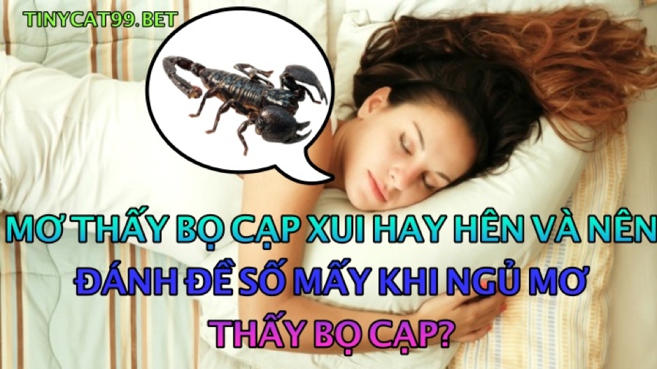 mơ thấy bò cạp