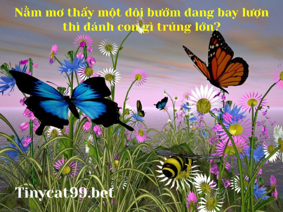 mơ thấy bướm