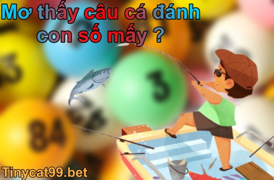 nằm mơ thấy câu cá