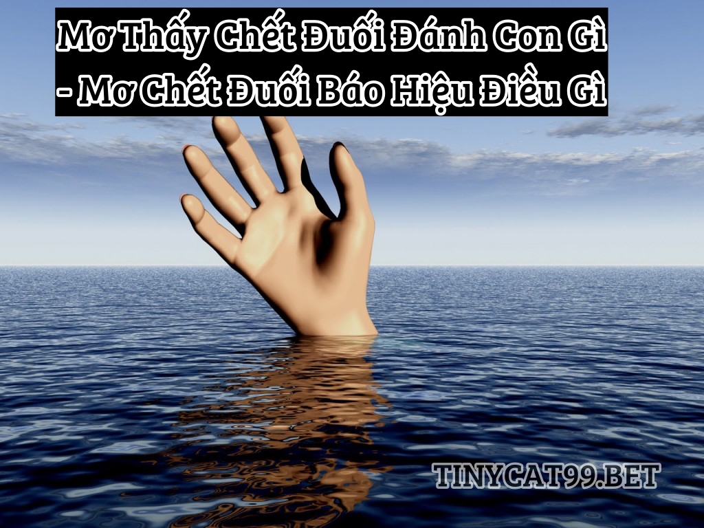 mơ thấy chết đuối đánh con gì, mo thay chet duoi danh con gi, mo thay chet duoi, mơ thấy chết đuối, mơ chết đuối số mấy, mo chet duoi so may