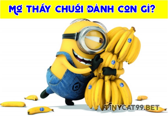 mơ thấy chuối đánh con gì, mo thay chuoi danh con gi, mo thay chuoi, mơ thấy chuối, chuối số mấy, chuoi so may