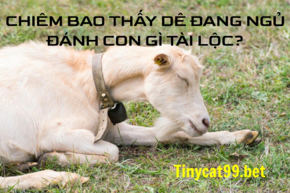 mơ thấy con dê