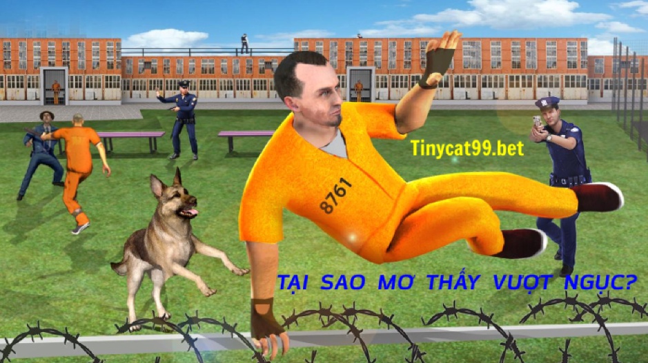 mơ thấy đi tù