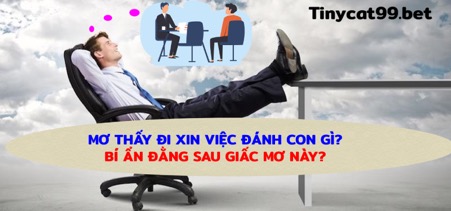 Tại sao mơ thấy đi xin việc