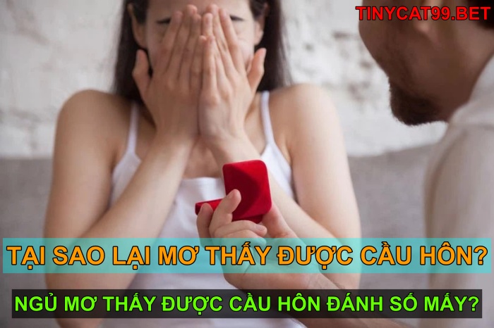 Mơ thấy được cầu hôn đánh bao lô số mấy?