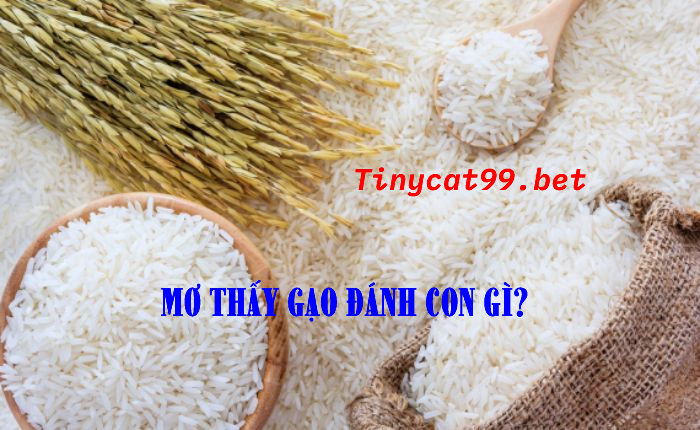 Tiết lộ con số may mắn khi mơ thấy gạo