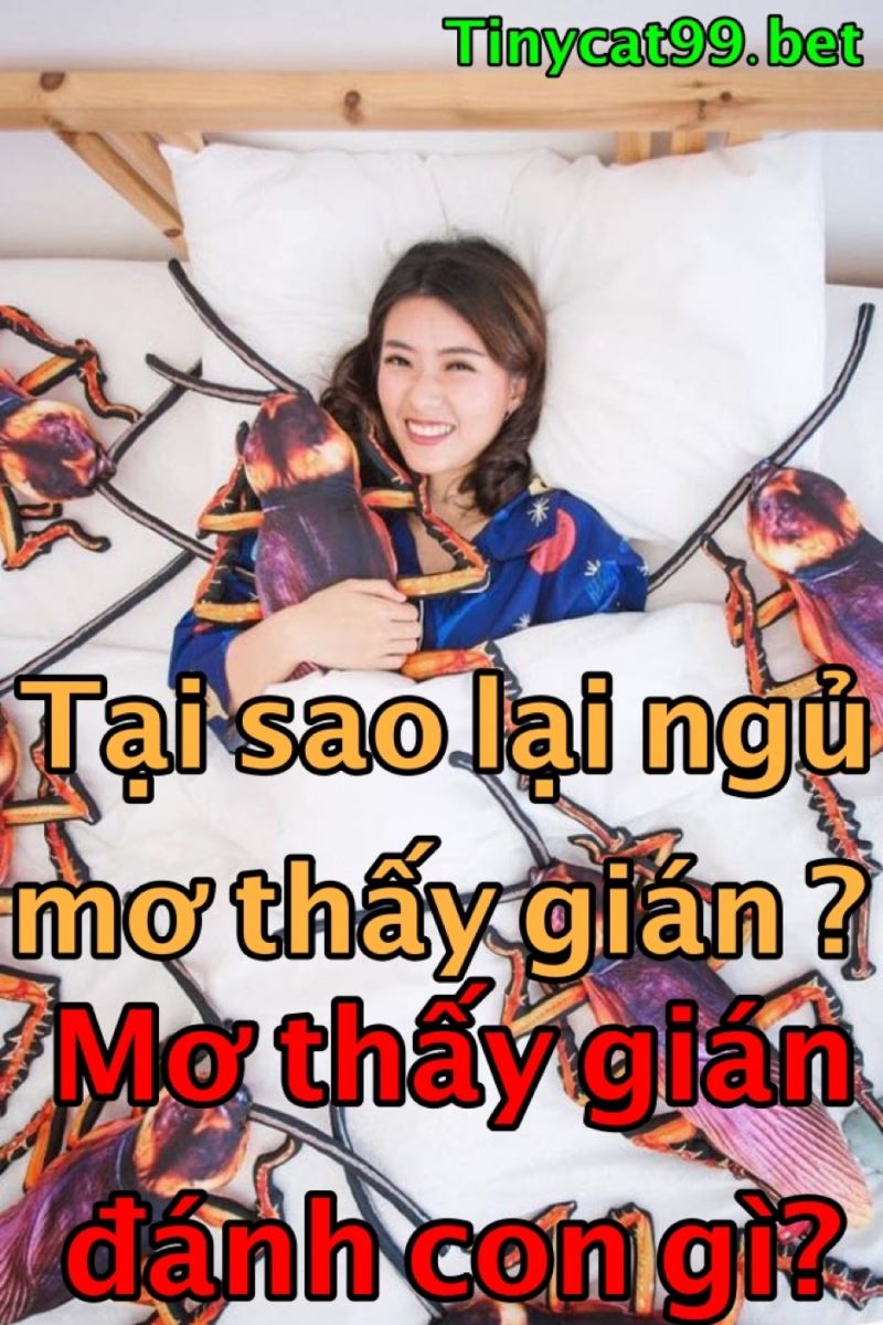 mơ thấy gián