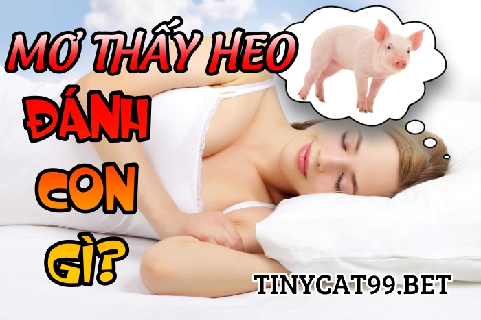 Nằm mơ thấy lợn đánh con gì?