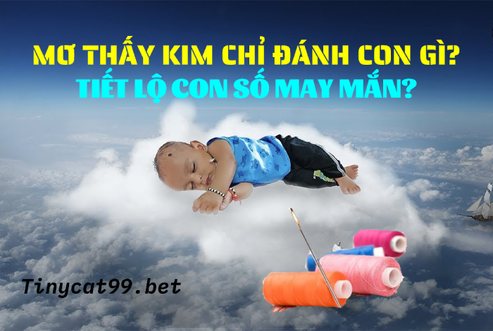 Giải mã ý nghĩa giấc mơ thấy kim chỉ