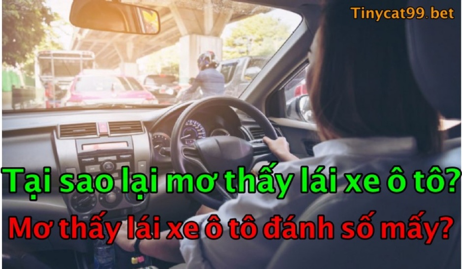 Mơ Thấy lái xe ô tô