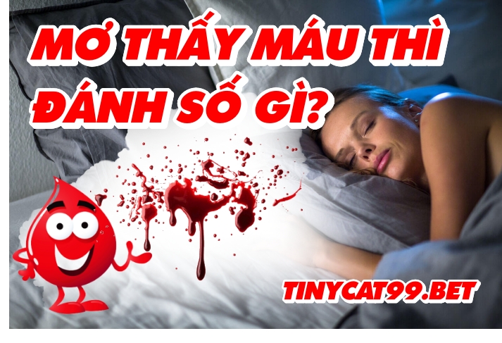 mơ thấy máu đánh con gì, mo thay mau danh con gi, mơ thấy máu, mo thay mau, máu số gì, máu số mấy, mau so gi, mau so may