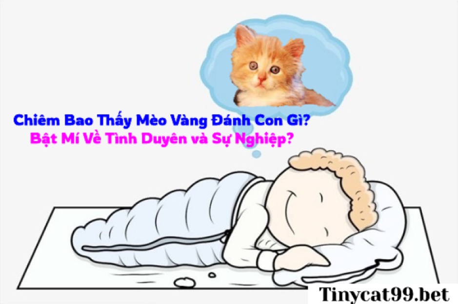 Giấc mơ về loài mèo vàng dễ thương