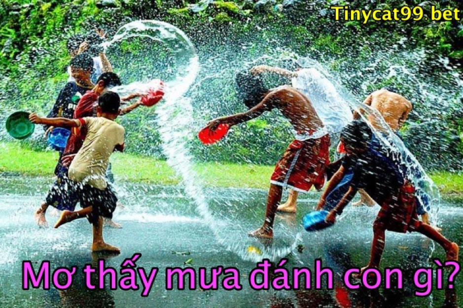 Mơ thấy mưa 