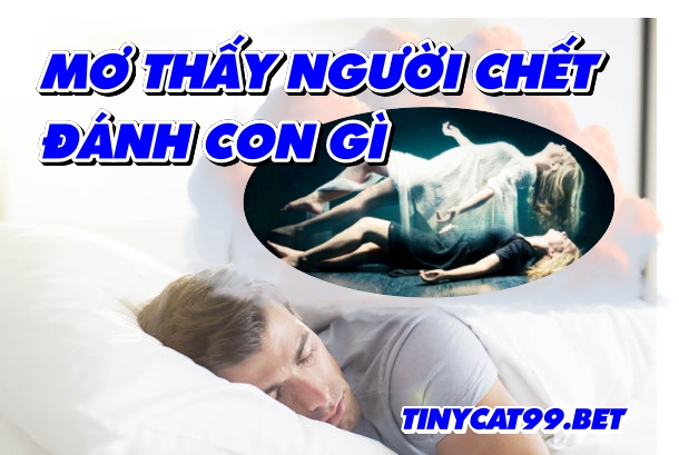 mơ thấy người chết đánh con gì, mơ người chết đánh số mấy, người chết số mấy, nguoi chet danh con gi, mo nguoi chet danh con gi, nguoi chet danh so bao nhieu, mơ thấy người chết đánh số gì