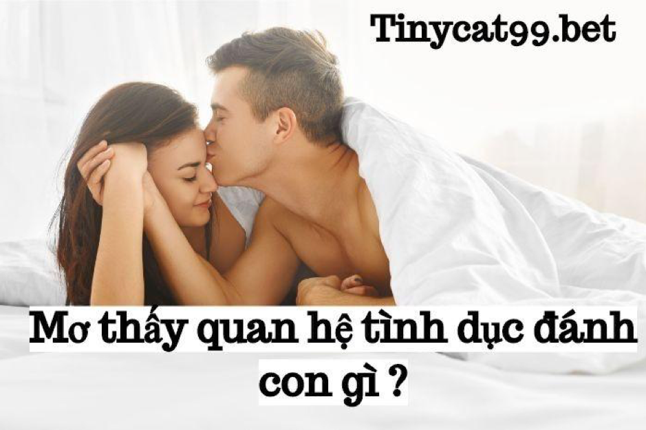 mơ thấy quan hệ tình dục, mơ thấy quan hệ tình dục đánh con gì, mo thay quan he tinh duc, mo thay quan he tinh duc danh con gi