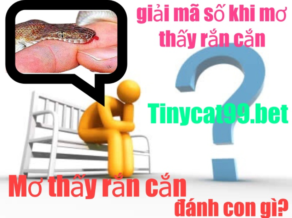 mơ thấy rắn cắn