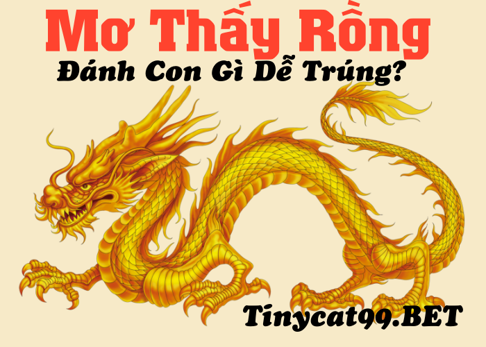 Rồng tượng trưng cho sự cao quý, quyền lực