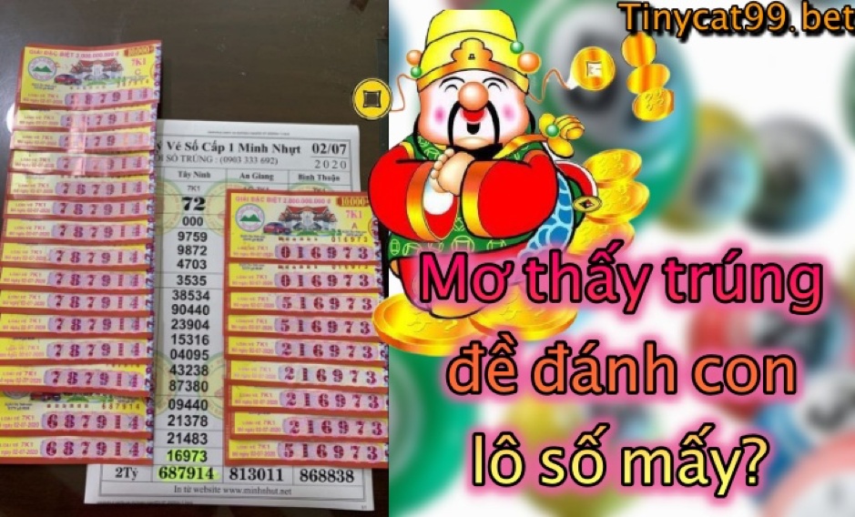 mơ thấy trúng số