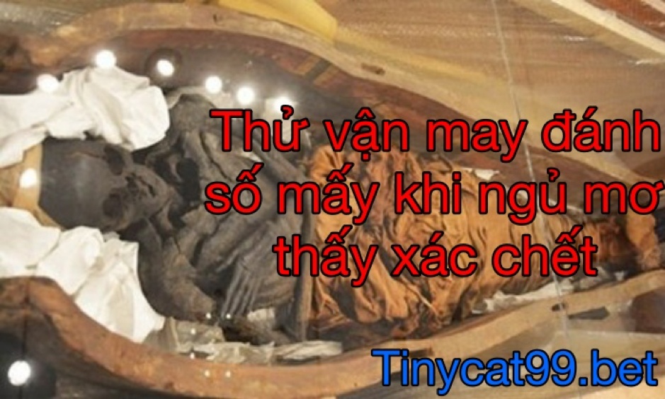 mơ thấy xác chết