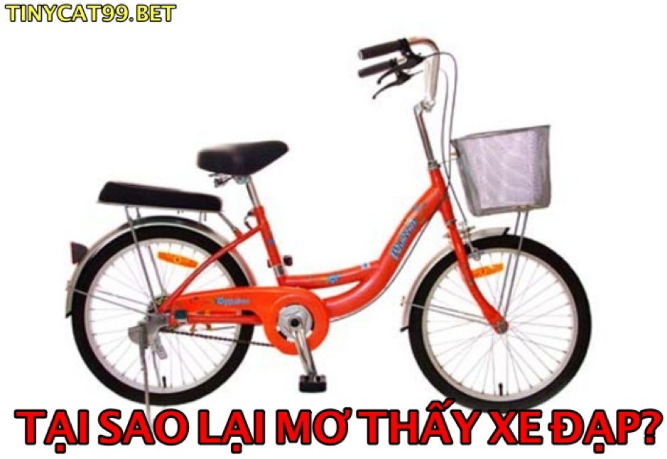 Nằm Mơ thấy Xe Đạp 