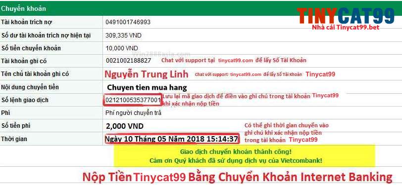 Cách Nạp Tiền Vào TinyCat99 Nhanh Chóng - Chính Xác Nhất