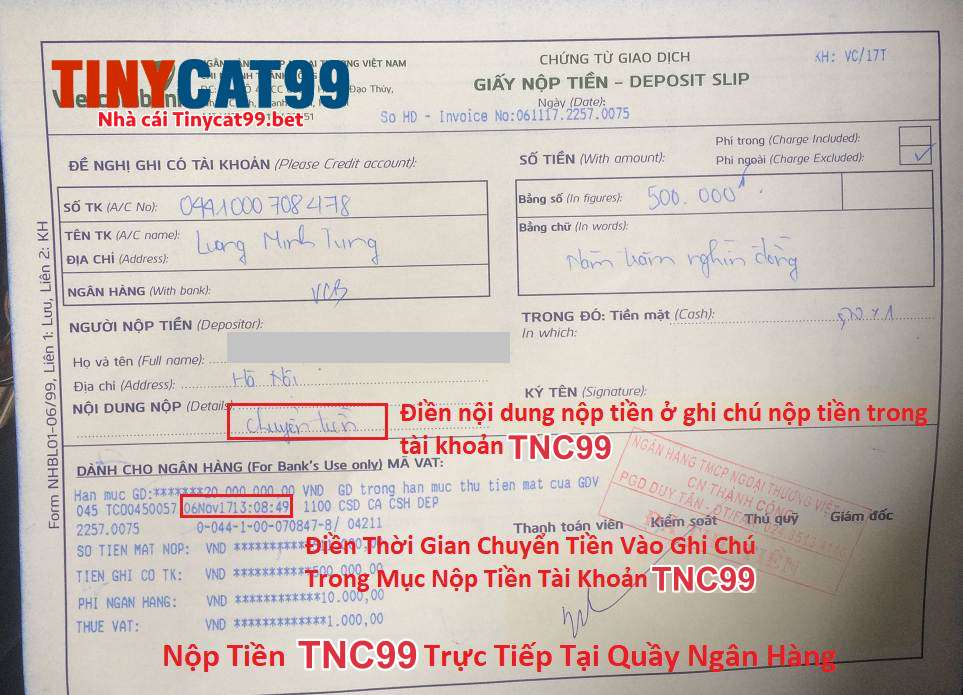 Cách Nạp Tiền Vào TinyCat99 Nhanh Chóng - Chính Xác Nhất