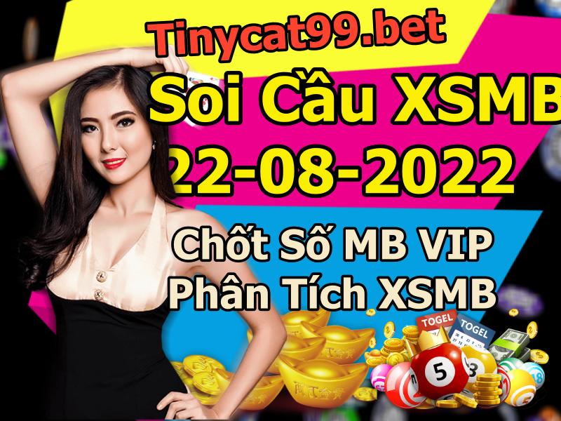 soi cầu xsmn 22 08 2022, soi cầu mn 22-08-2022, dự đoán xsmn 22-08-2022, btl mn 22-08-2022, dự đoán miền nam 22-08-2022, chốt số mn 22-08-2022, soi cau mien nam 22 08 2022