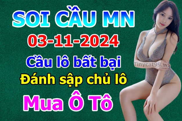 soi cầu xsmn 03-11-2024, soi cầu mn 03-11-2024, dự đoán xsmn 03-11-2024, btl mn 03-11-2024, dự đoán miền nam 03-11-2024, chốt số mn 03-11-2024, soi cau mien nam 03 11 2024