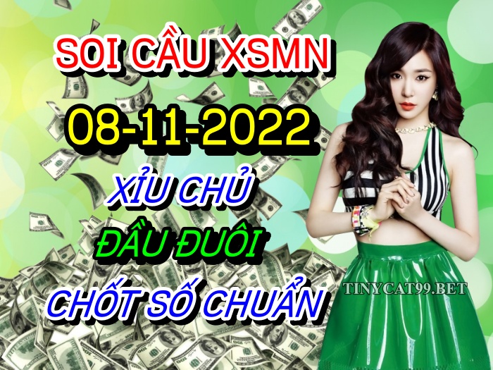 soi cầu xsmn 08 11 2022, soi cầu mn 08-11-2022, dự đoán xsmn 08-11-2022, btl mn 08-11-2022, dự đoán miền nam 08-11-2022, chốt số mn 08-11-2022, soi cau mien nam 08 11 2022