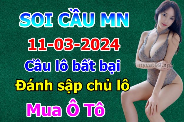 vsoi cầu xsmn 11-03-2024, soi cầu mn 11/03/2024 , dự đoán xsmn 11-03-2024, btl mn 11 03 24, dự đoán miền nam 11/03/2024, chốt số mn 11-03-2024, soi cau mien nam 11-03-2024