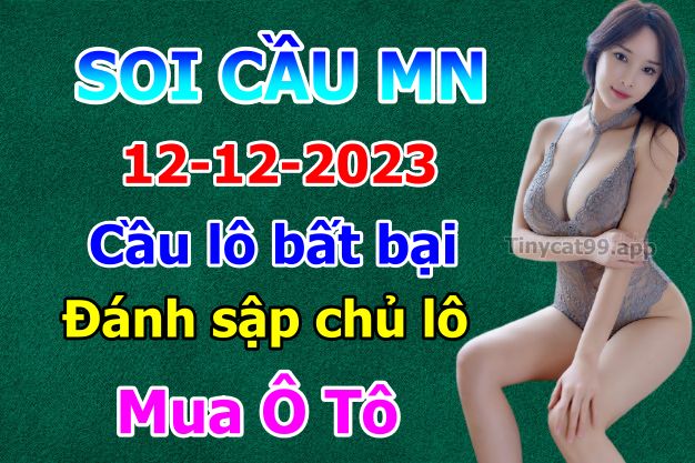 soi cầu xsmn 12 12 2023, soi cầu mn 12/12/23, dự đoán xsmn 12 12 2023, btl mn 12-12-2023, dự đoán miền nam 12/12/2023, chốt số mn 12 12 2023, soi cau mien nam 12-12-2023