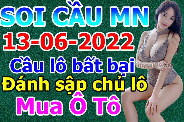 soi cầu xsmn 13 06 2022, soi cầu mn 13-06-2022, dự đoán xsmn 13-06-2022, btl mn 13-06-2022, dự đoán miền nam 13-06-2022, chốt số mn 13-06-2022, soi cau mien nam 13 06 2022