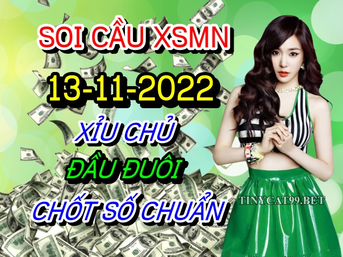 soi cầu xsmn 13 11 2022, soi cầu mn 13-11-2022, dự đoán xsmn 13-11-2022, btl mn 13-11-2022, dự đoán miền nam 13-11-2022, chốt số mn 13-11-2022, soi cau mien nam 13-11-2022