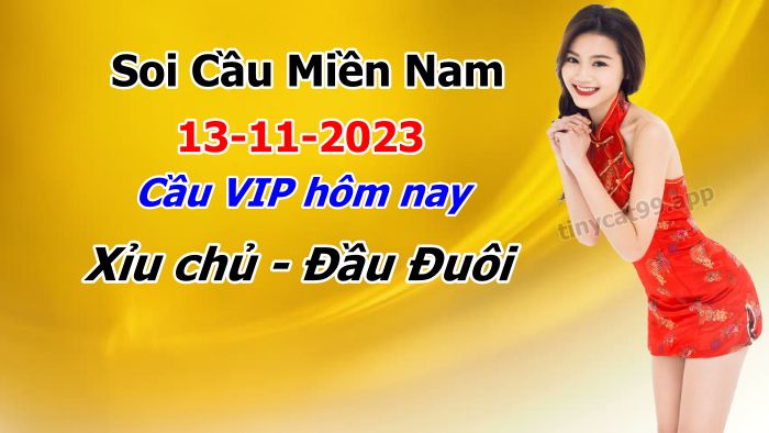 vsoi cầu xsmn 13-11-2023, soi cầu mn 13/11/2023, dự đoán xsmn 13-11-2023, btl mn 13 11 23, dự đoán miền nam 13/11/2023, chốt số mn 13-11-2023, soi cau mien nam 13-11-2023