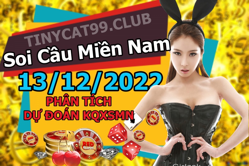 soi cầu xsmn 13 12 2022, soi cầu mn 13-12-2022, dự đoán xsmn 13-12-2022, btl mn 13-12-2022, dự đoán miền nam 13-12-2022, chốt số mn 13-12-2022, soi cau mien nam 13 12 2022