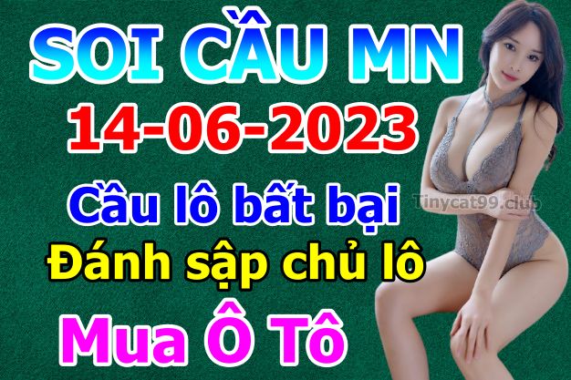 soi cầu xsmn 14 06 023, soi cầu mn 14 06 2023, dự đoán xsmn 14/06/2023, btl mn 14 06 2023, dự đoán miền nam 14-06-2023, chốt số mn 14 06 2023, soi cau mien nam 14 06 23