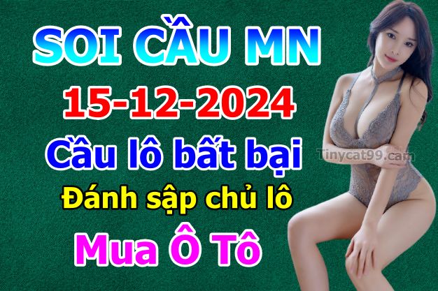 soi cầu xsmn 15-12-2024, soi cầu mn 15-12-2024, dự đoán xsmn 15-12-2024, btl mn 15-12-2024, dự đoán miền nam 15-12-2024, chốt số mn 15-12-2024, soi cau mien nam 15 12 2024