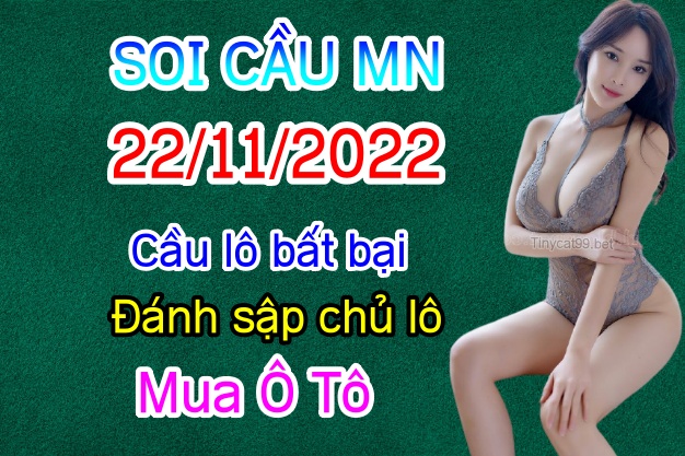 soi cầu xsmn 22 11 2022, soi cầu mn 22-11-2022, dự đoán xsmn 22-11-2022, btl mn 22-11-2022, dự đoán miền nam 22-11-2022, chốt số mn 22-11-2022, soi cau mien nam 22 11 2022