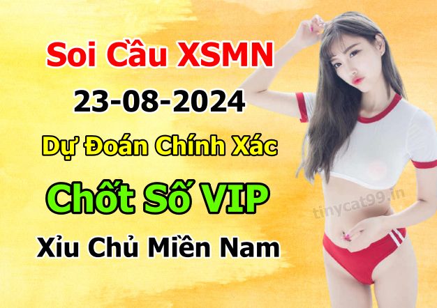 soi cầu xsmn 23-08-2024, soi cầu mn 23-08-2024, dự đoán xsmn 23-08-2024, btl mn 23-08-2024, dự đoán miền nam 23-08-2024, chốt số mn 23-08-2024, soi cau mien nam 23-08-2024