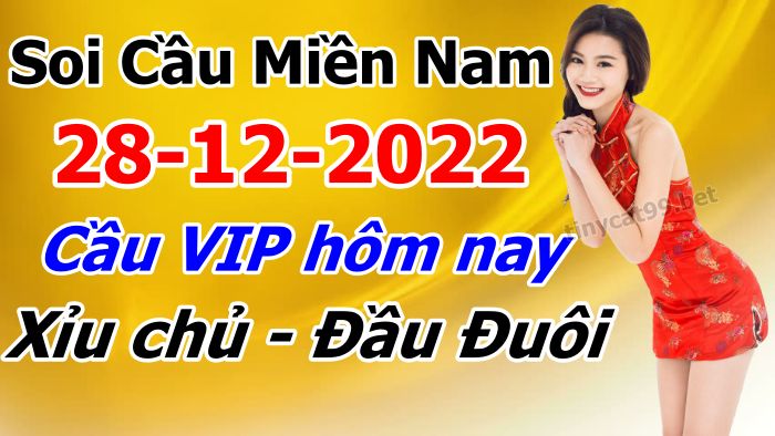 soi cầu xsmn 28 12 2022, soi cầu mn 28-12-2022, dự đoán xsmn 28-12-2022, btl mn 28-12-2022, dự đoán miền nam 28-12-2022, chốt số mn 28-12-2022, soi cau mien nam 28 12 2022