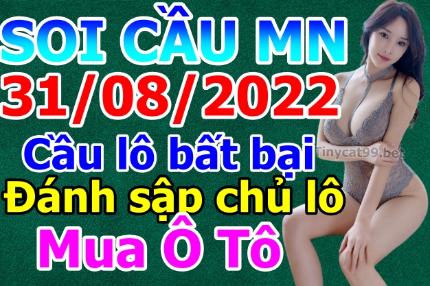 soi cầu xsmn 31 08 2022, soi cầu mn 31-08-2022, dự đoán xsmn 31-08-2022, btl mn 31-08-2022, dự đoán miền nam 31-08-2022, chốt số mn 31-08-2022, soi cau mien nam 31 08 2022