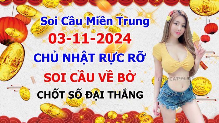 soi cầu xsmt 03-11-2024, soi cầu mt 03-11-2024, dự đoán xsmt 03-11-2024, btl mt 03-11-2024, dự đoán miền trung 03-11-2024, chốt số mt 03-11-2024, soi cau mien trung 03 11  2024